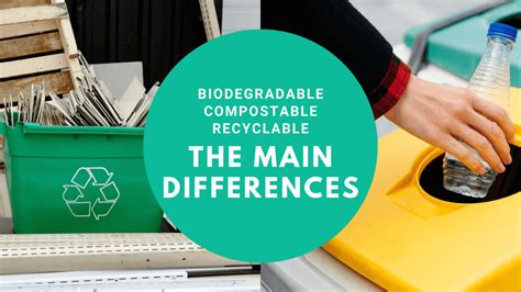 What Do Biodegradable Labels Mean?